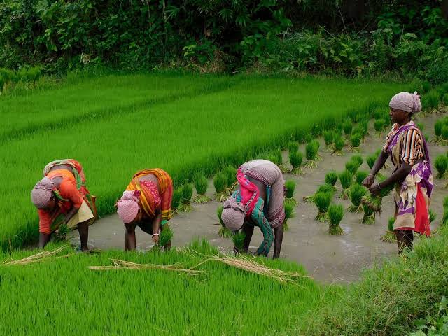 किसान ने राजा को बताया कि मैं रोजाना चार पैसे कमा लेता हूं, उसमें से एक पैसा कुएं में डाल देता हूं, दूसरे से अपना कर्ज चुका देता हूं, तीसरे को उधार देता हूं और चौथा…..