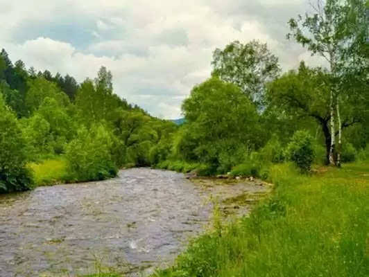 एक राजा के दो पुत्र थे, दोनों राजकुमारों ने एक दिन सोचा कि क्यों ना जंगल का भ्रमण किया जाए, शिकार करना चाहिए, यह सोचकर दोनों राजकुमार अपने साथ कुछ सैनिकों को लेकर वन की ओर निकल पड़े, रास्ते में…..