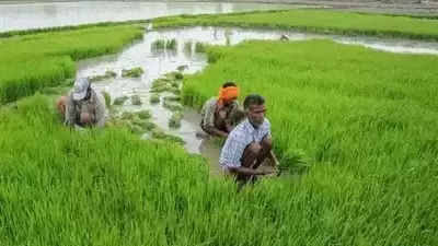 किसी गांव में एक संत अपनी पत्नी के साथ रहते थे, उनके पास थोड़ी जमीन थी, वहां खेती करके अपना जीवन यापन कर रहे थे, कड़ी मेहनत के बाद भी उनके जीवन में गरीबी बनी हुई थी, परेशानियां……