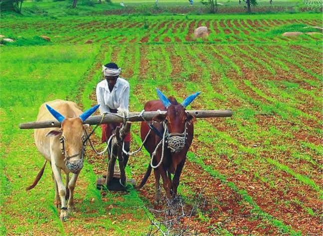 किसान के खेत में एक चट्टान थी, जिसका एक हिस्सा जमीन से बाहर था, उस चट्टान की वजह से किसान के कई औजार टूट चुके थे, एक दिन किसान ने उस पत्थर को खेत से…….