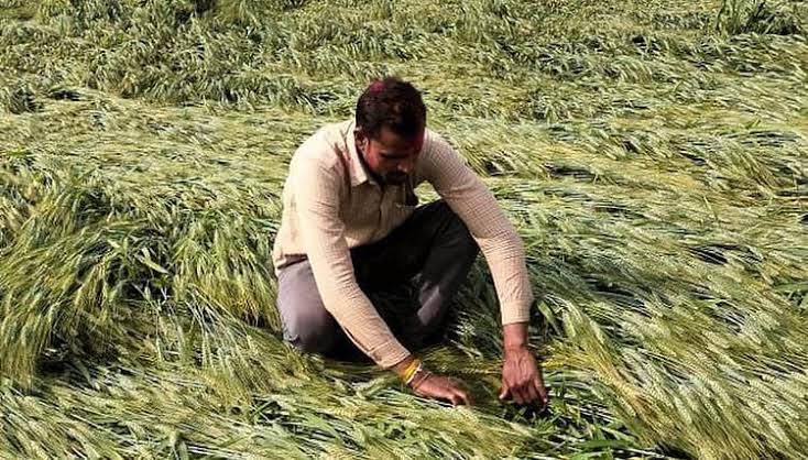 एक गांव में एक गरीब किसान रहता था, एक बार बाढ़ की वजह से उसकी फसल खराब हो गई, दूसरी फसल बोई तो इस बार बारिश नहीं हुई, लगातार दो बार फसल बर्बाद होने से वह भगवान पर नाराज हो गया…….