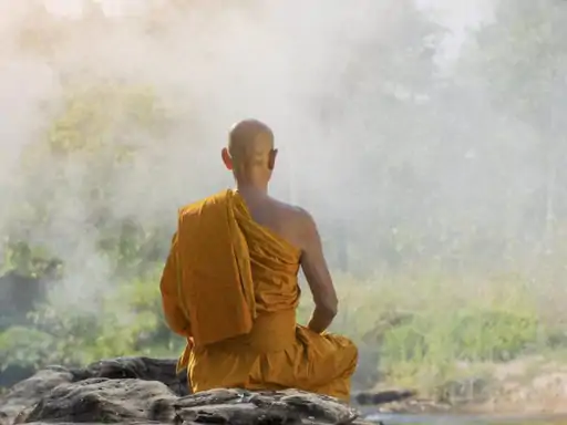 सीख; बुद्ध ने कहा कि आज के प्रवचन में संन्यासियों के अलावा एक वेश्या और एक चोर भी आया था, कल सुबह तुम इन तीनों संन्यासी, वेश्या और चोर से पूछना कि कल सभा में बुद्ध ने जो आखिरी वचन…….