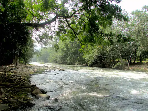 सीख; एक दिन दो राजकुमार भाई कुछ सैनिकों को साथ लेकर जंगल में शिकार पर गए, काफी दूर पहुंचने के बाद उन्हें थकान होने लगी, तभी रास्ते में उन्हें एक नदी दिखाई दी तो दोनों भाइयों ने सोचा कि यहां कुछ देर……..